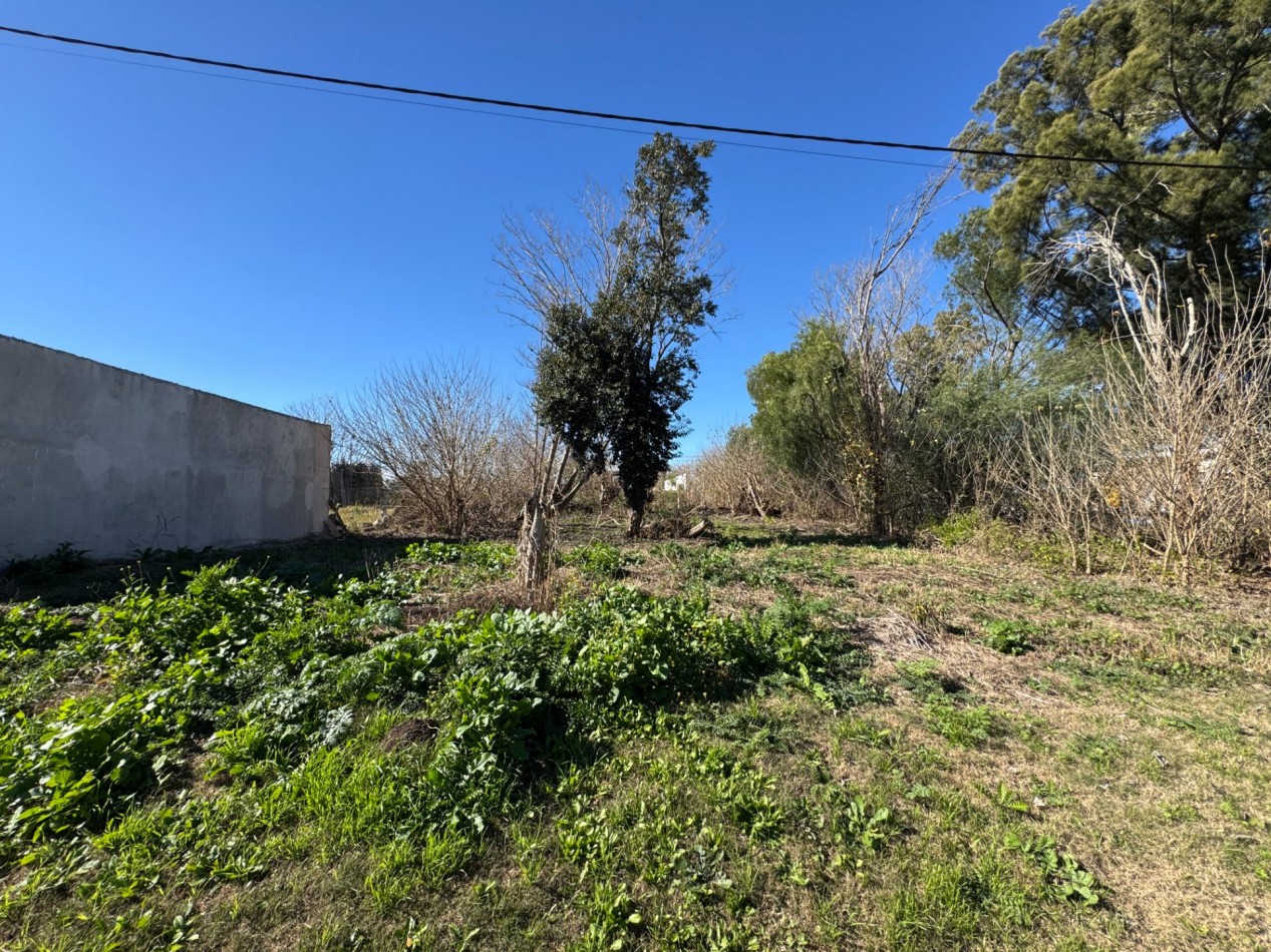Lote 450 m² | Loteo Santa Maria | Colonia Ensayo