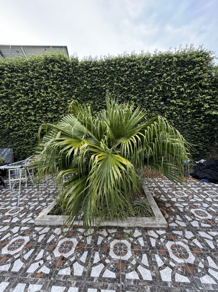 SE VENDE CASA ZONA GARRIGO Y MIGUEL DAVID