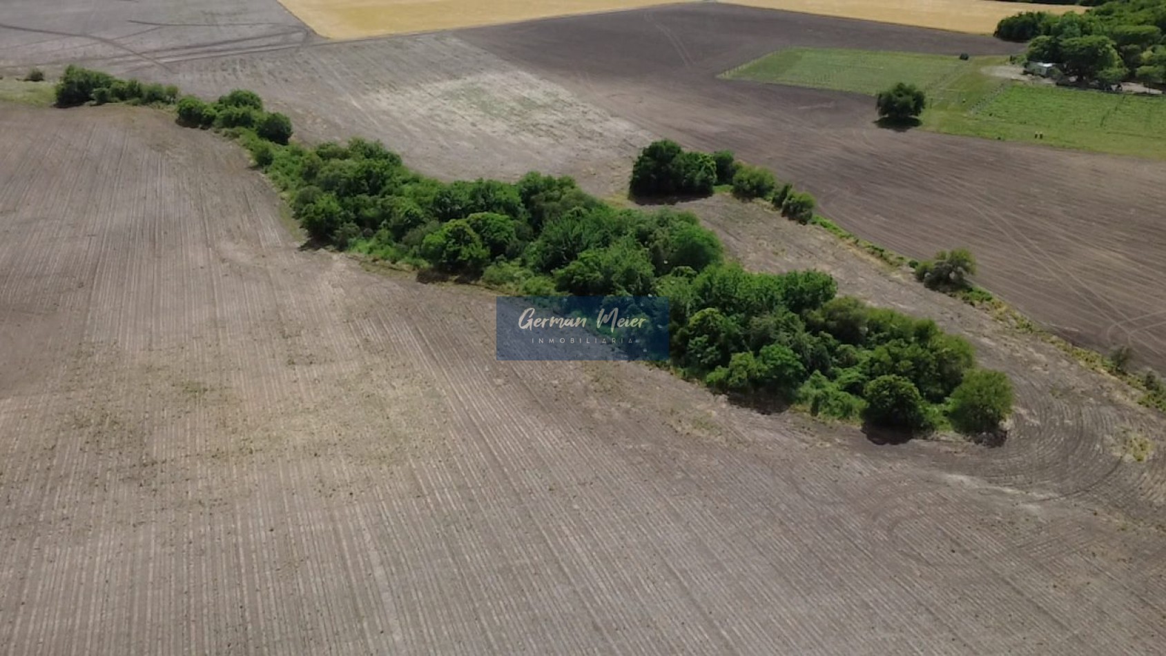 VENTA - 10 HECTAREAS en Colonia Avellaneda (zona Acceso Norte)