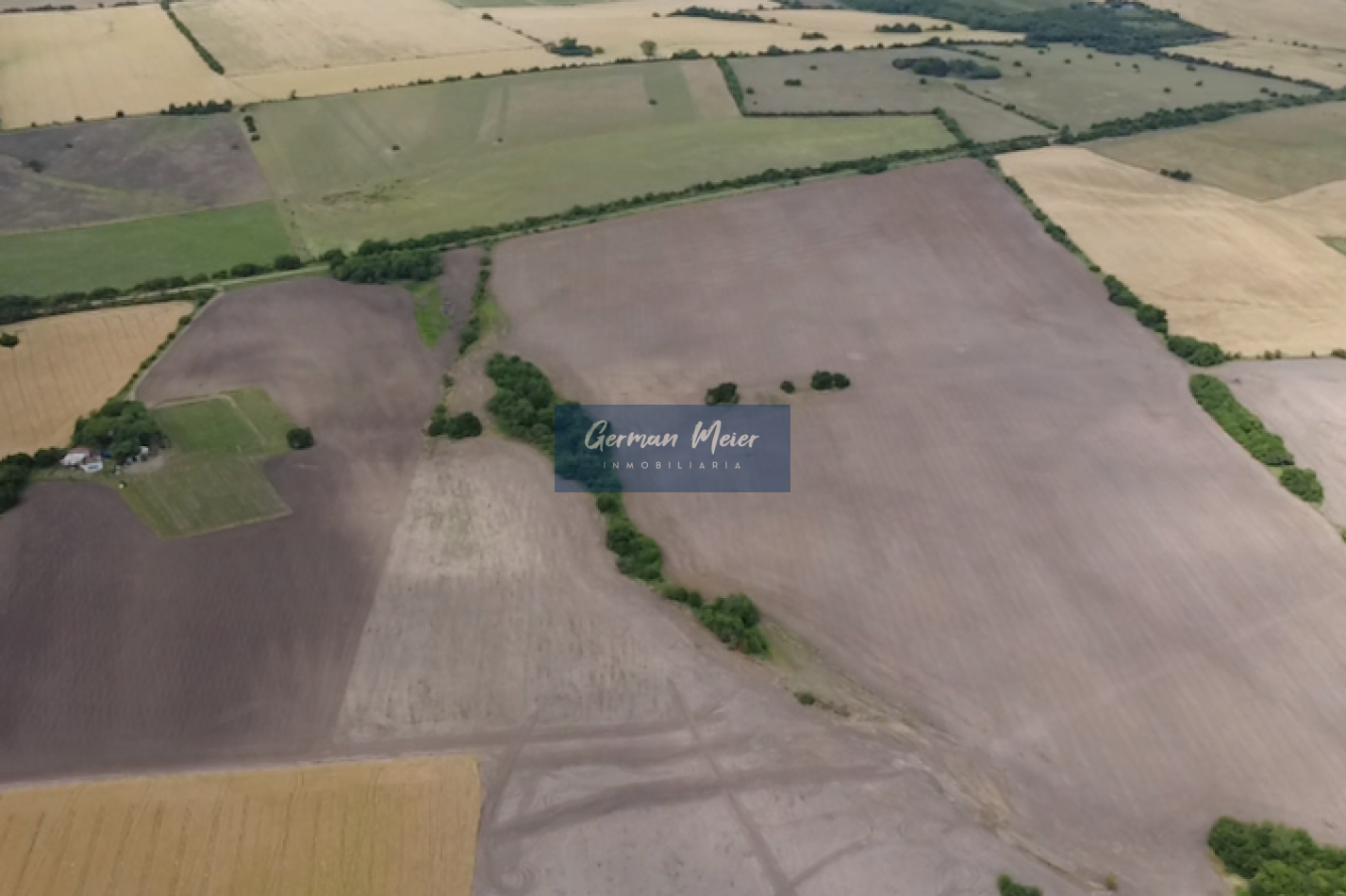 VENTA - 10 HECTAREAS en Colonia Avellaneda (zona Acceso Norte)