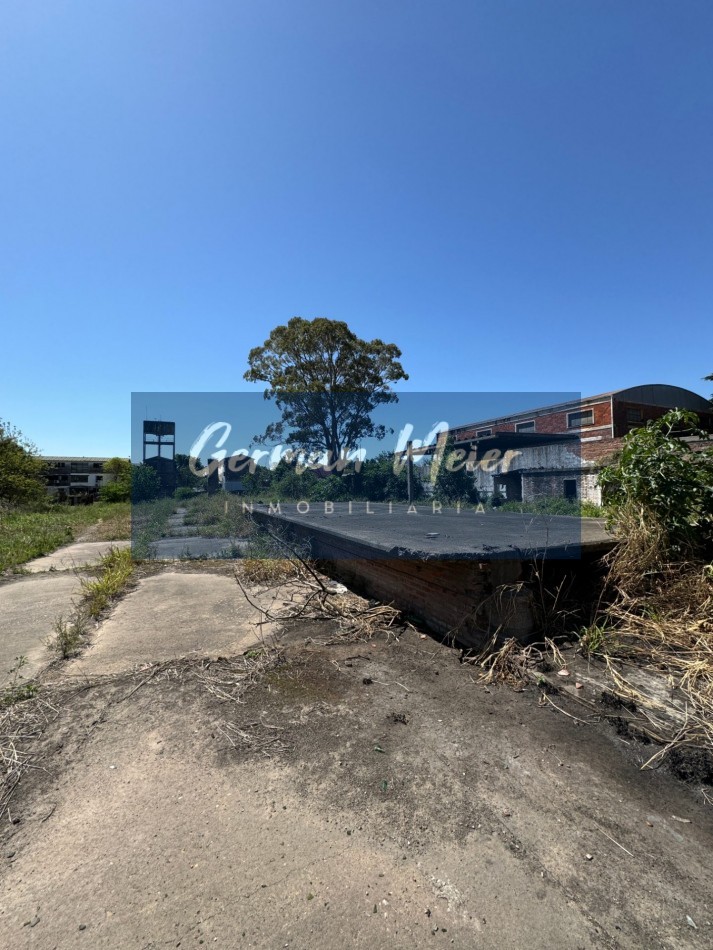 VENDO AMPLIO TERRENO SOBRE AV. ALMAFUERTE