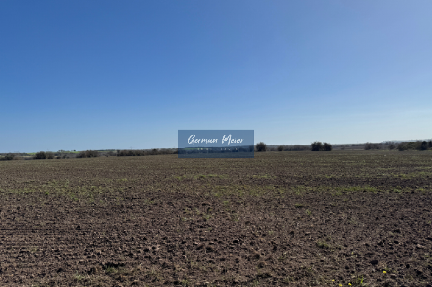 VENTA - 10 HECTAREAS en Colonia Avellaneda (zona Acceso Norte)