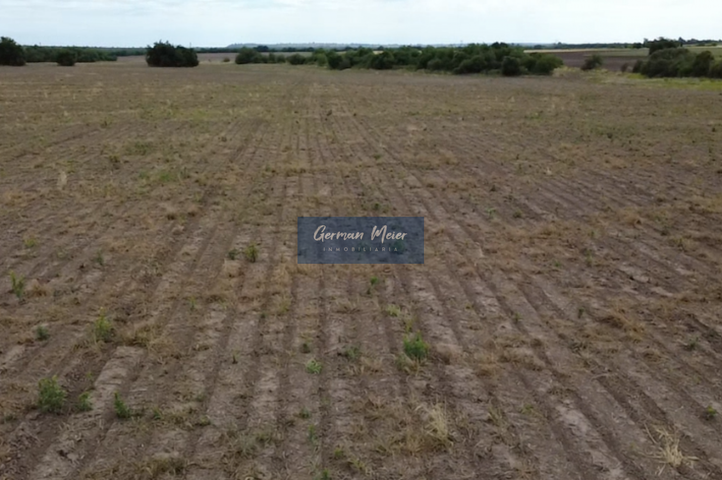 VENTA - 10 HECTAREAS en Colonia Avellaneda (zona Acceso Norte)