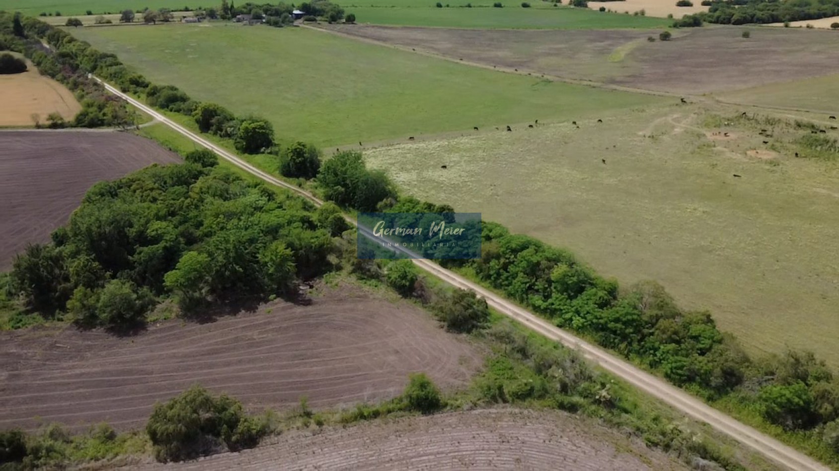 VENTA - 10 HECTAREAS en Colonia Avellaneda (zona Acceso Norte)